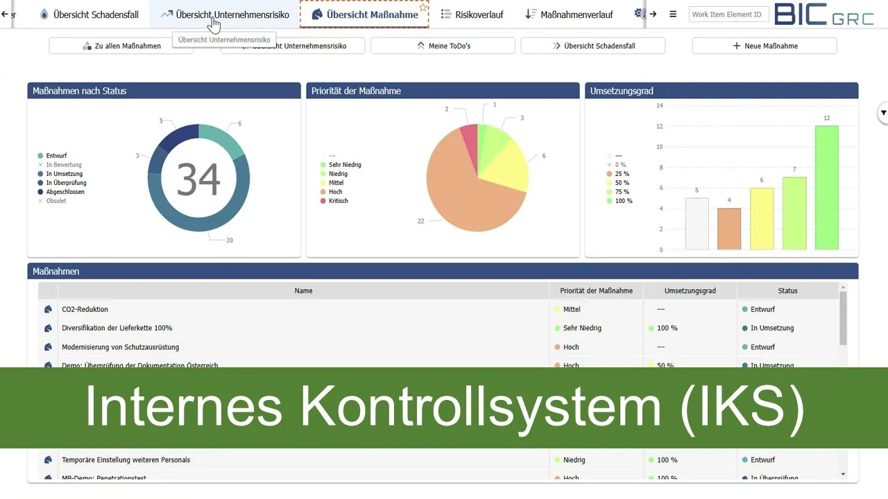 Video Prozessorientiertes Risikomanagement / IKS